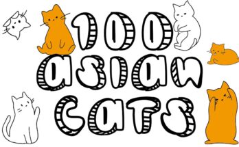 100 Asian Cats