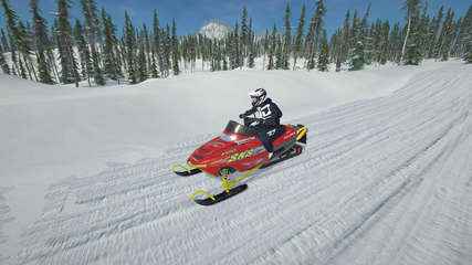 Sledders